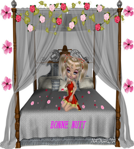 BONNE NUIT A TOUS ET TOUTES