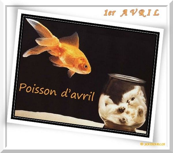 1ER AVRIL  -  POISSON D'AVRIL     -     KDO