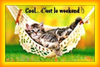 COOL - C'EST LE WEEK END 