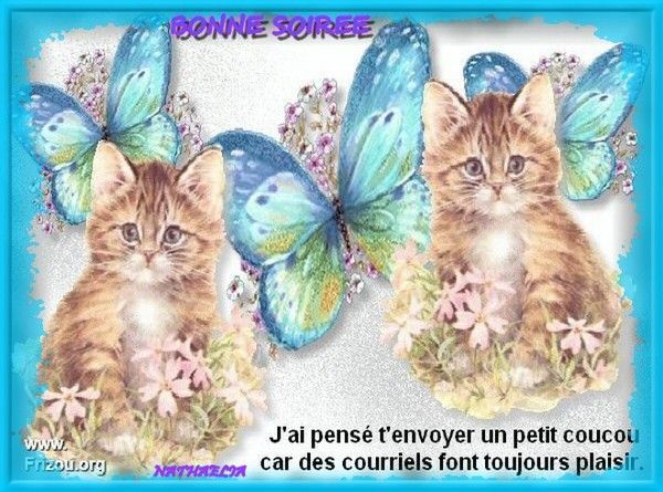 BONNE SOIREE - KDO POUR VOUS MES AMIS(E)