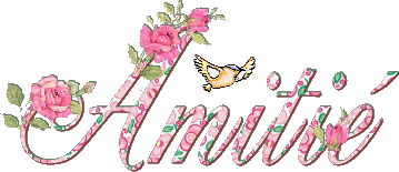 AMITIEgif.gif