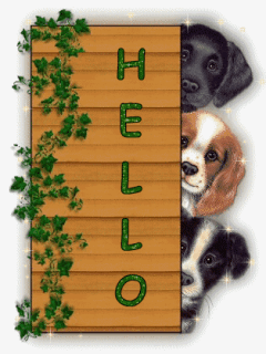 BARREDESEARCHIEN-HELLO-GIF.gif