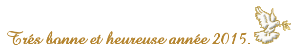BONNE-ANNE-2015-COLOMBE.gif