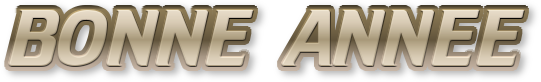 BONNE-ANNEE11.png