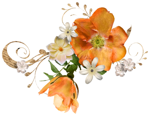FLEUR-ORANGE-BARRE.png
