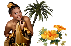 MARY-COUCHERDESOLEIL-SUR-LILE2-20062013.png