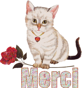 MERCICHATETROSEROUGEGIF.gif