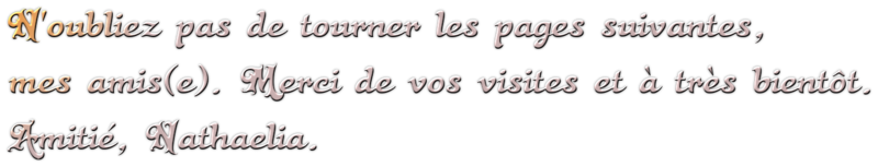 N-OUBLIEZ-DE-TOURNER-ARGENTEMIS.png