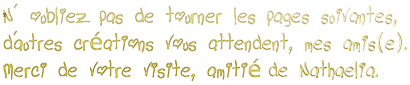 N-oubliez-pas3mis.png