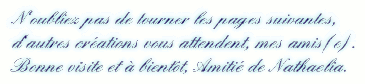 TOURNER-PAGES9-BLEU-GIFmis.gif