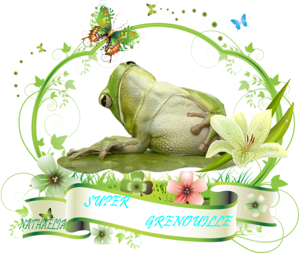 SUPER GRENOUILLE