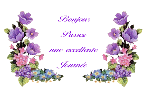 bonjour-et-passez-une-excellente-journee.gif
