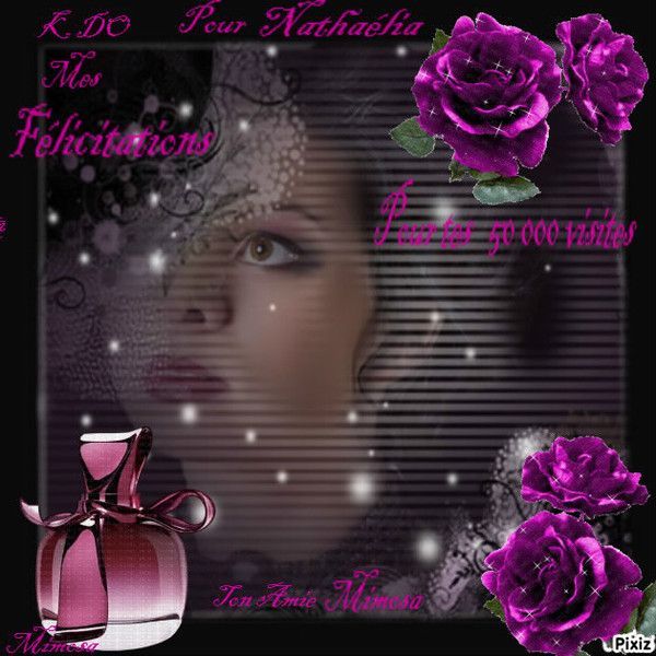 50 000    VISITEURS CHEZ NATHAELIA  -   