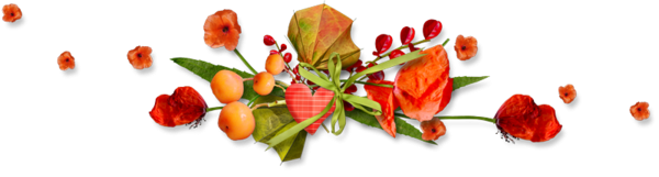 fleur,seches,barre,247.png