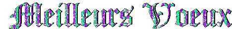 meilleurs-voeurx2.gif